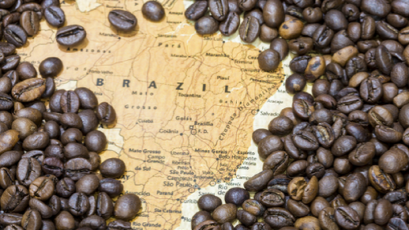 BRAZIL MUỐN TRỞ THÀNH “THỦ PHỦ” MỚI CỦA CÀ PHÊ  ROBUSTA