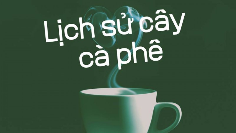 Lịch sử cây cà phê