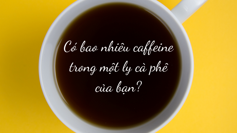 Có bao nhiêu CAFFEINE trong ly cà phê của bạn ?