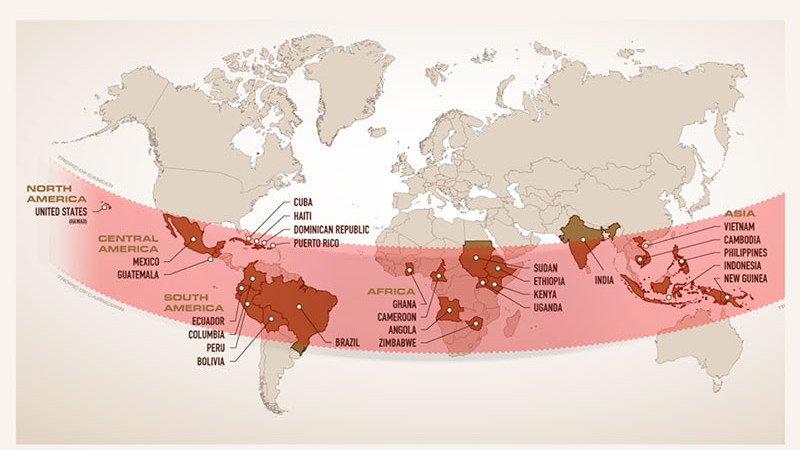 Bạn có từng nghe Vành Đai Cà Phê - The Bean Belt?