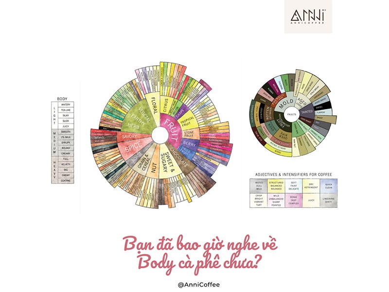 Bạn đã bao giờ nghe về Body cà phê chưa?