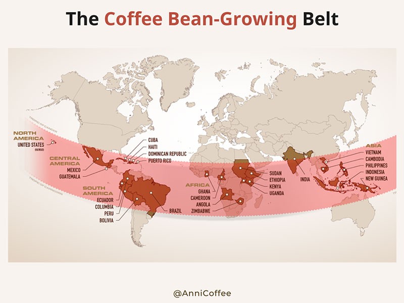 Bạn có từng nghe Vành Đai Cà Phê - The Bean Belt?