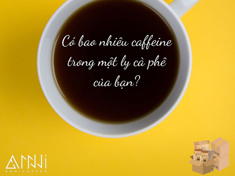 Có bao nhiêu caffeine trong 1 ly cà phê của bạn?